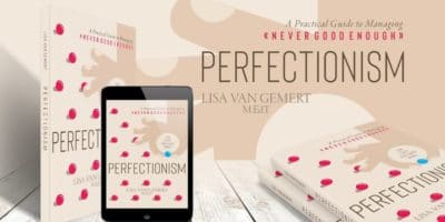 cover of perfectionism book